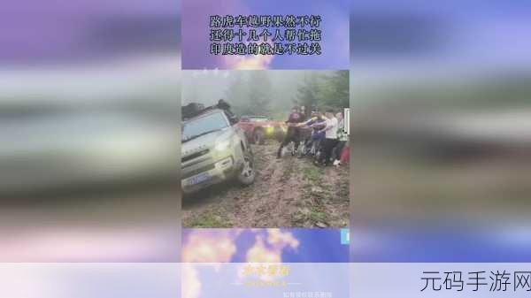 贰佰信息网金属仙踪林：1. 探索金属仙踪林的神秘魅力