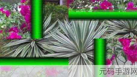 色7777777:1. 色彩的奇幻之旅:探索7777777背后的故事