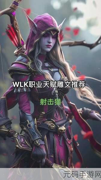 魔兽世界wlk武器战雕文:魔兽世界WLK:武器战雕文的极致搭配与攻略解析