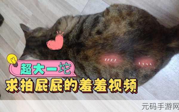 晚上看的羞羞视频入口:1. 探索羞羞视频的奇妙世界,畅享无限乐趣