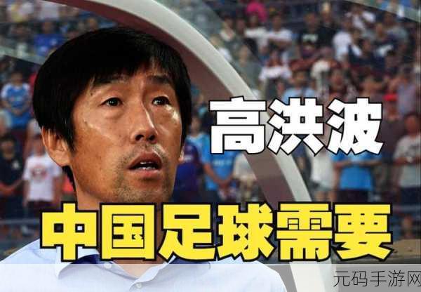 高洪波接受调查:1. 高洪波接受调查引发足球界广泛关注