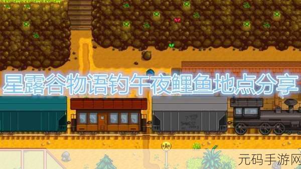 星露谷物语午夜鲤鱼轻松钓取秘籍