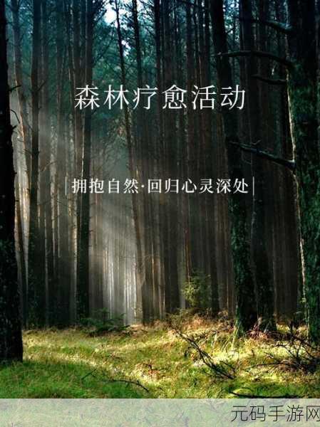 青娱乐视觉盛宴1:1. 青娱乐视觉盛宴:探索心灵深处的艺术之旅