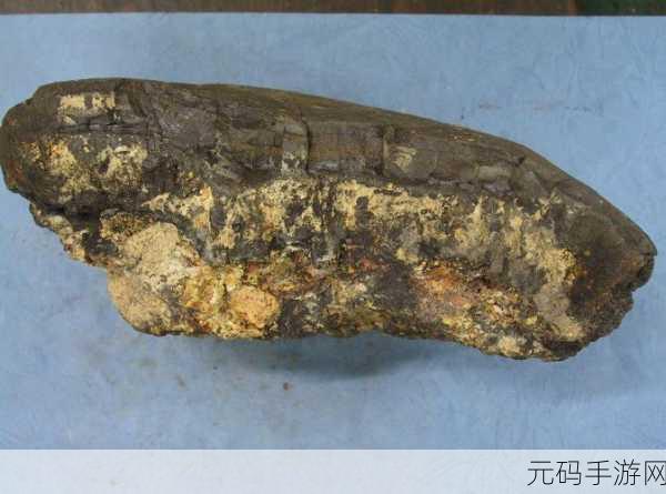 巫妖王之怒版本钴矿哪里多:1. 《巫妖王之怒》钴矿分布地点详细解析
