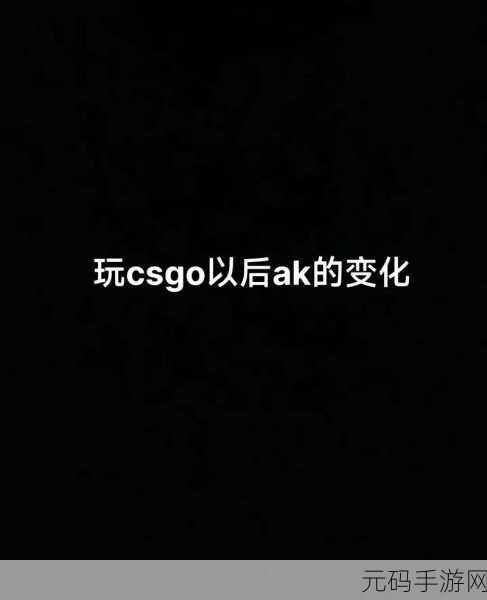 csgo暴躁少女最新版本更新内容：CSGO暴躁少女更新：新角色、新武器与游戏机制解析