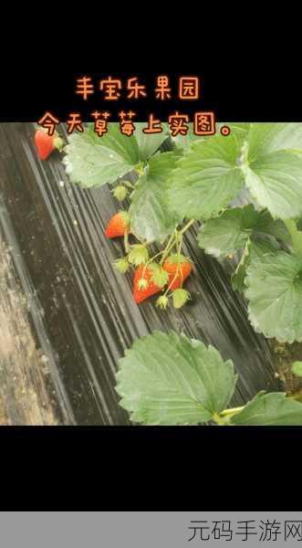 草莓视频官方色：1. 探索草莓视频，发现无限精彩内容