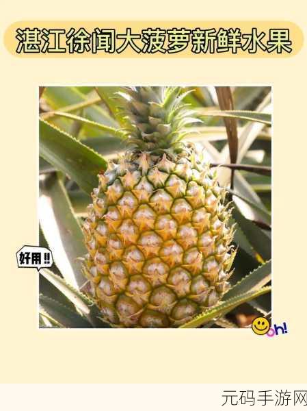 大菠萝福建网站：1. 大菠萝福建网站：尽享美食与文化的完美结合
