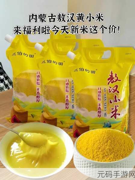 大香煮2022一人一煮介绍：1. 一人一煮的美食革命：个性化煮法探讨