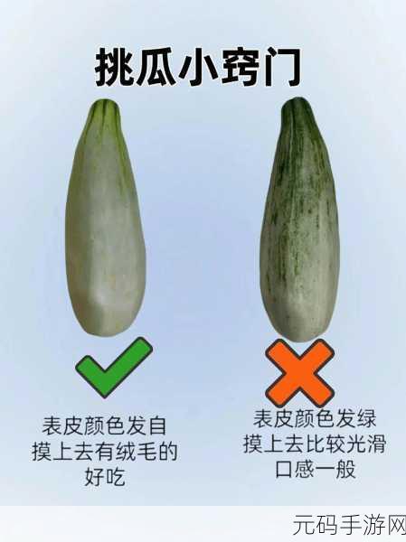 今日热瓜 吃瓜 每日更新：1. 今日热瓜揭秘：最新八卦让你大开眼界！