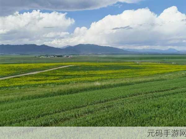 伊犁园20233秒转入：1. 伊犁园2023：探索新机遇与发展方向