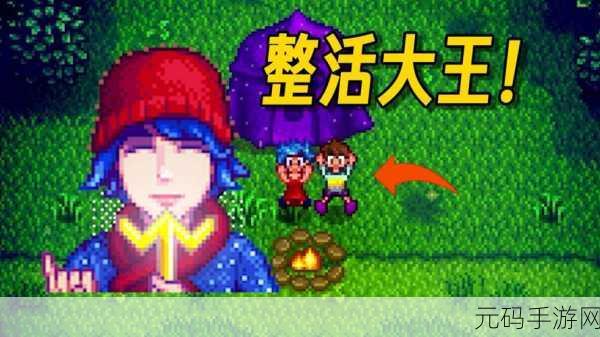 星露谷物语，艾米丽的喜好大揭秘
