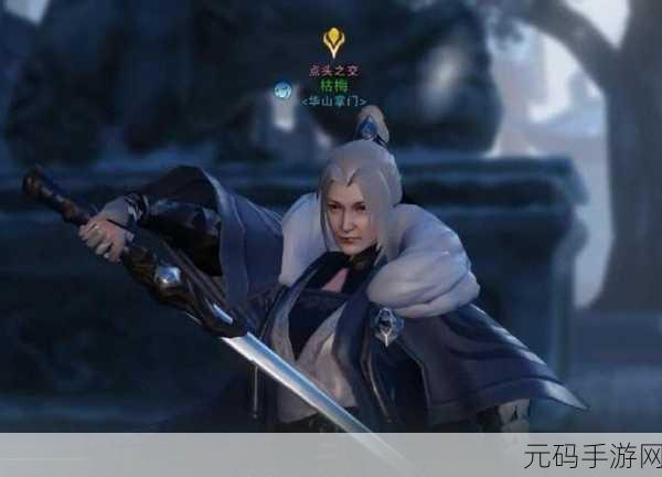 张智尧版楚留香手游，袁隋云与枯梅关系深度剖析及游戏攻略