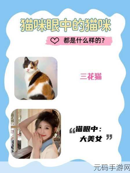抖音爆火猫咪新宠儿,萌翻天的日系休闲手游来袭!