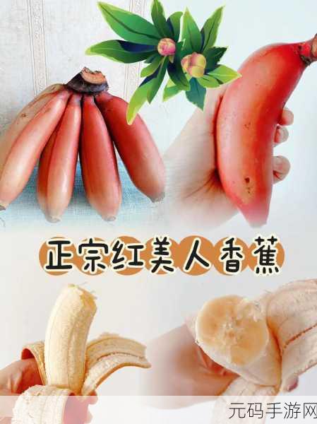 香蕉视频成人app:1. 探索香蕉视频:解锁你的成人娱乐新体验