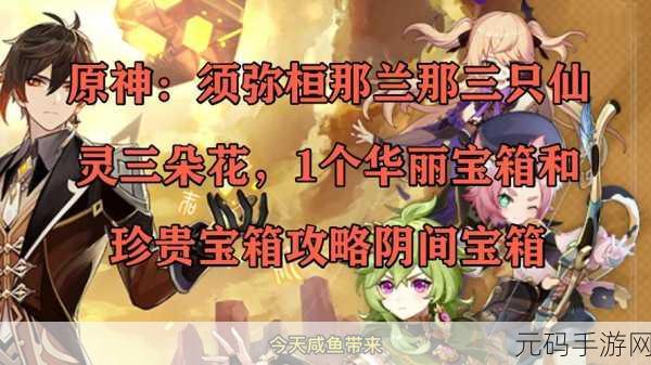 原神,桓那兰那三仙灵宝箱解锁秘籍大公开