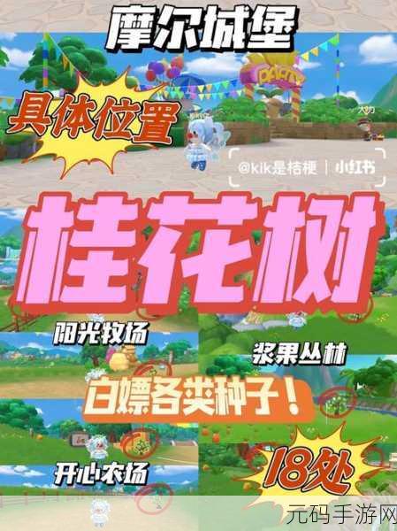 摩尔庄园手游，石头获取秘籍与挖完应对策略全解析