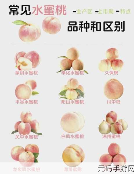 久久99精品久久久水蜜桃的特点:1. 探秘久久99精品水蜜桃的独特滋味