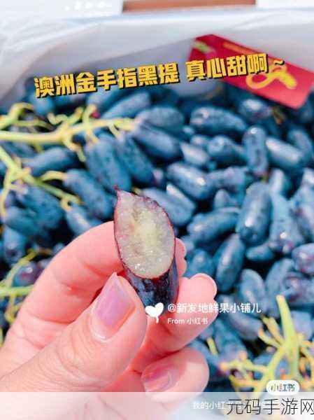 欧米伽红宝石金手指代码：1. 欧米伽红宝石金手指：科技与艺术的完美结合
