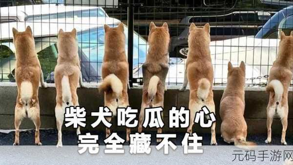 51fun吃瓜黑料不打烊：1. 吃瓜不止，黑料不断：揭秘娱乐圈背后的秘密