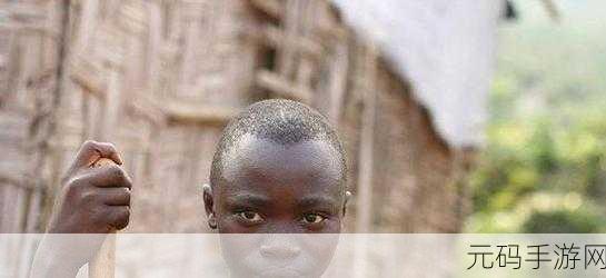非洲人性功能强大跟什么有关？：1. 非洲人性功能强大的生物学与文化因素探讨
