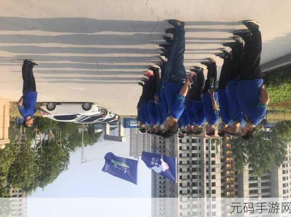 幻想手游试炼关卡轮椅阵容的绝佳搭配与致胜策略