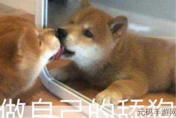 萌趣横生，挑战无限！厚脸皮的鸡Cheeky Chooks带你领略别样休闲乐趣