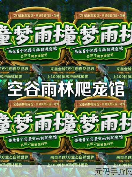 和平精英,探索过山车位置的神秘之旅