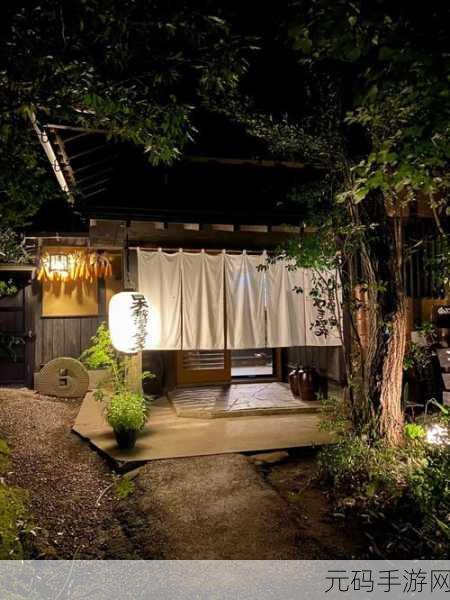 日系逃脱新体验，探索やすらぎの湯——从平静的温泉中寻觅自由之路