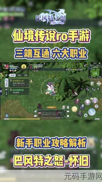 仙境传说 RO 手游骑士技能加点全攻略