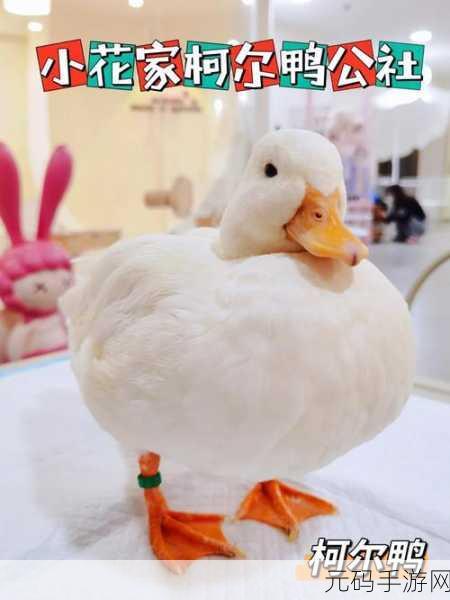 萌力全开!可爱Kitty猫汉化版撸猫游戏甜蜜上线,快来领养你的专属萌宠