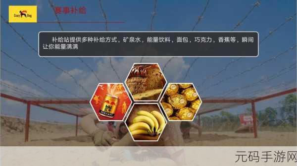 闲置小球爆射风靡全网,休闲打方块新体验等你来挑战!