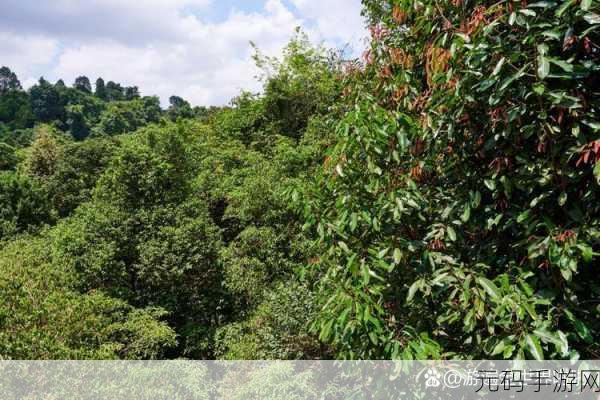 魔幻之旅新启程,B100X中文版震撼登场,地下城冒险等你来战!