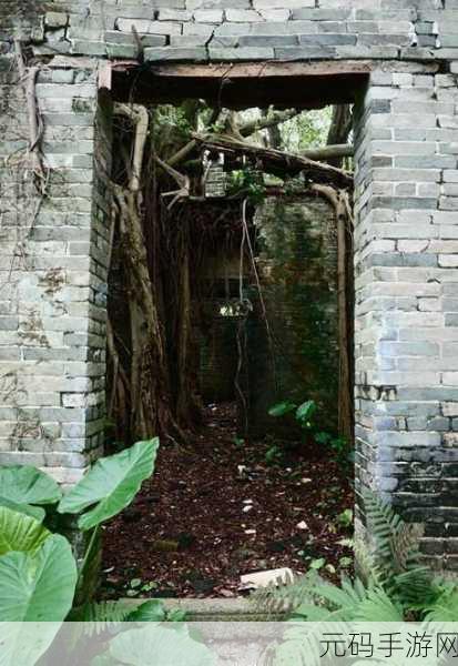 恐怖与智慧交织,迷失无人村,逃出恐怖村庄震撼来袭,下载即刻挑战你的逻辑极限!