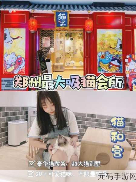 萌宠治愈新纪元，小曼基游戏下载，吸猫爱好者的梦幻乐园
