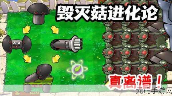 植物大战僵尸2金坷垃版权版震撼登场，策略与趣味的完美碰撞！