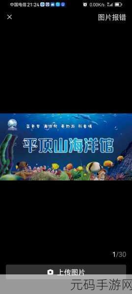 全民海洋馆,探索海底世界的梦幻之旅,即刻下载体验!