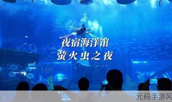 全民海洋馆,探索海底世界的梦幻之旅,即刻下载体验!