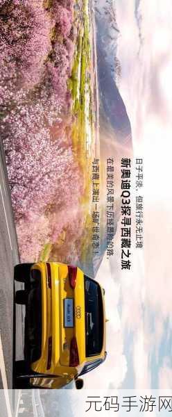 比奇传震撼登场，专属您的传奇之旅，即刻启程下载！
