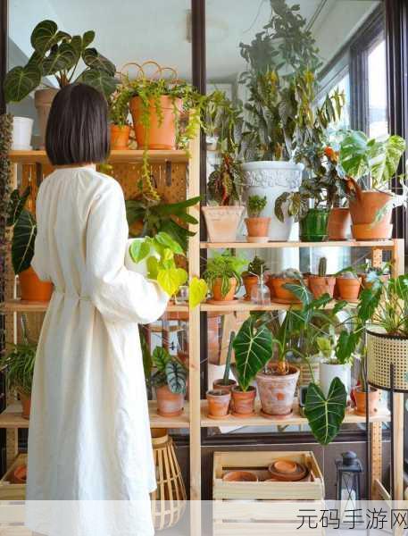 小小植物园焕新登场，打造你的梦幻绿植世界
