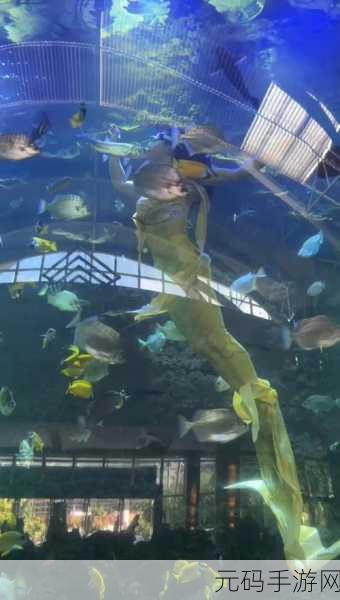 泡沫海洋救援，全新消除冒险，探索梦幻海底世界！