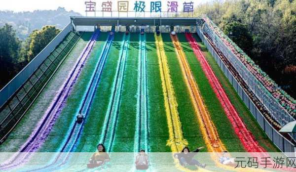Color Plow震撼登场，挑战你的极限反应，休闲时光新宠儿