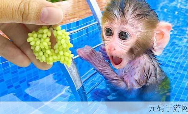 猴子乐园大冒险,水果狂欢,敏捷点击挑战等你来战!