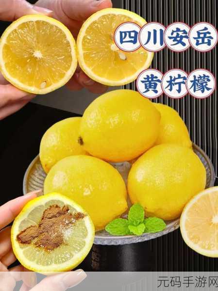 柠檬清香，经营乐趣——空闲柠檬水大亨带你领略休闲模拟新风尚