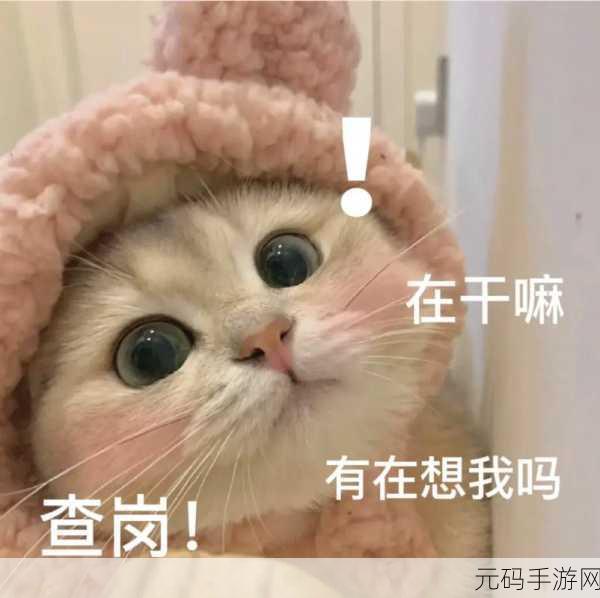 萌力全开!猫咪真的超可爱安卓版暖心上线,黑白简约治愈你的日常