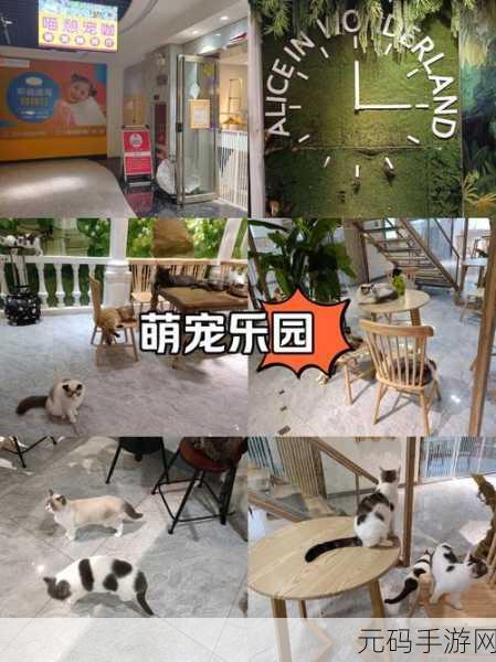 萌宠乐园新纪元，宠物之家3D经营养成手游震撼登场
