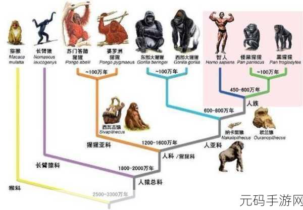 探索生命奥秘，合并创造未来，人类演化史趣味上线