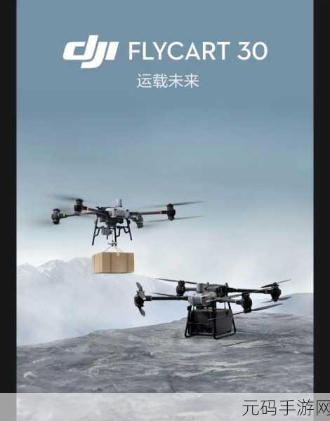 大疆虚拟飞行DJL Virtual Flight震撼上线,翱翔天际,尽享飞行乐趣