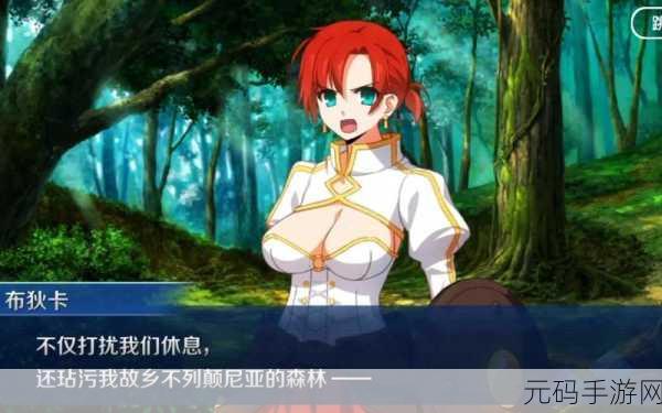 FGO 中布狄卡的全方位解析与实战运用