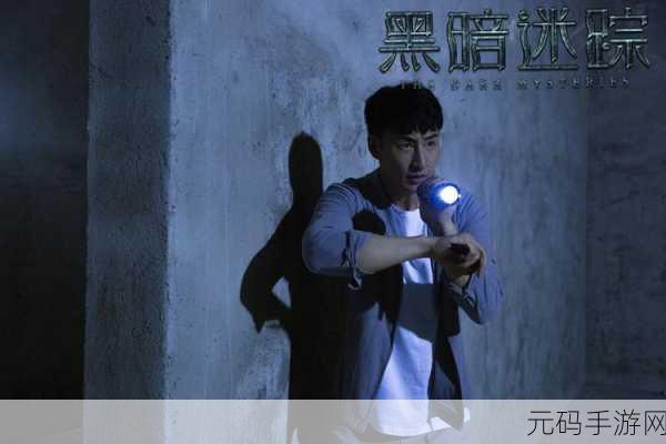 暗夜迷踪，汉化版震撼发布，暗黑解谜新纪元开启