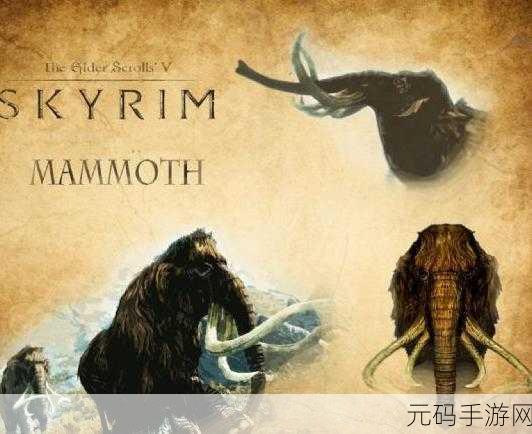 上古卷轴 5 天际,鱼蛇熊机关破解秘籍大公开